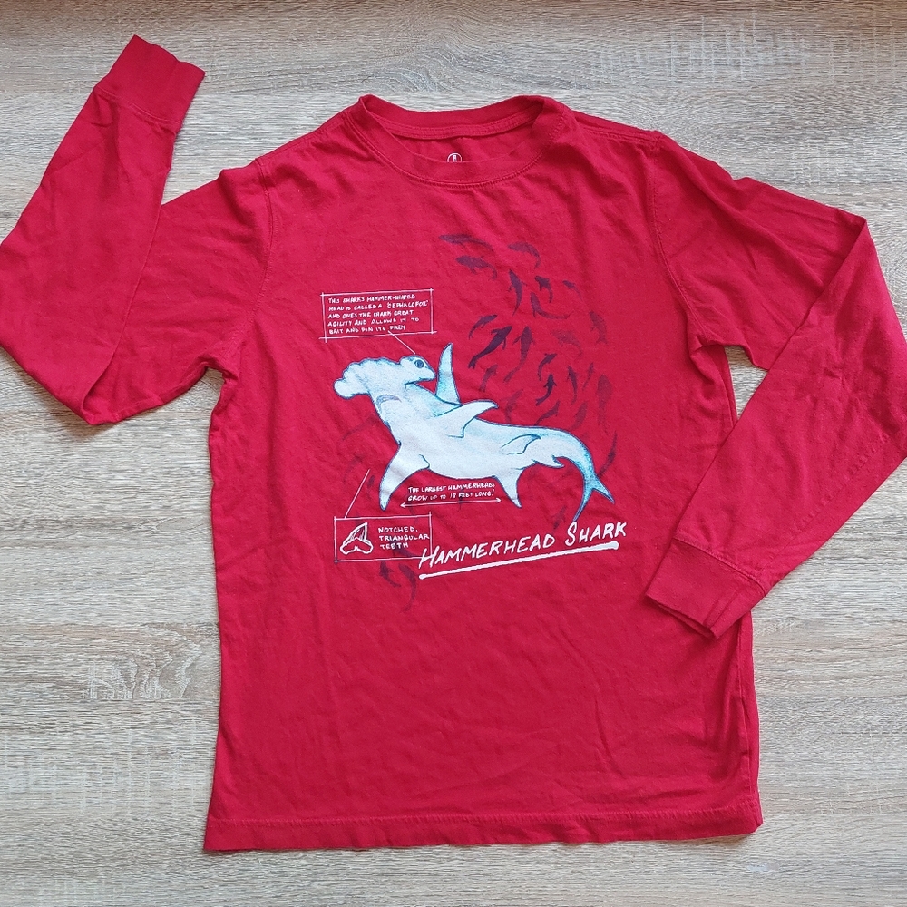 Land's End euc/ln Size 14-16 tees - Picture 5 of 15